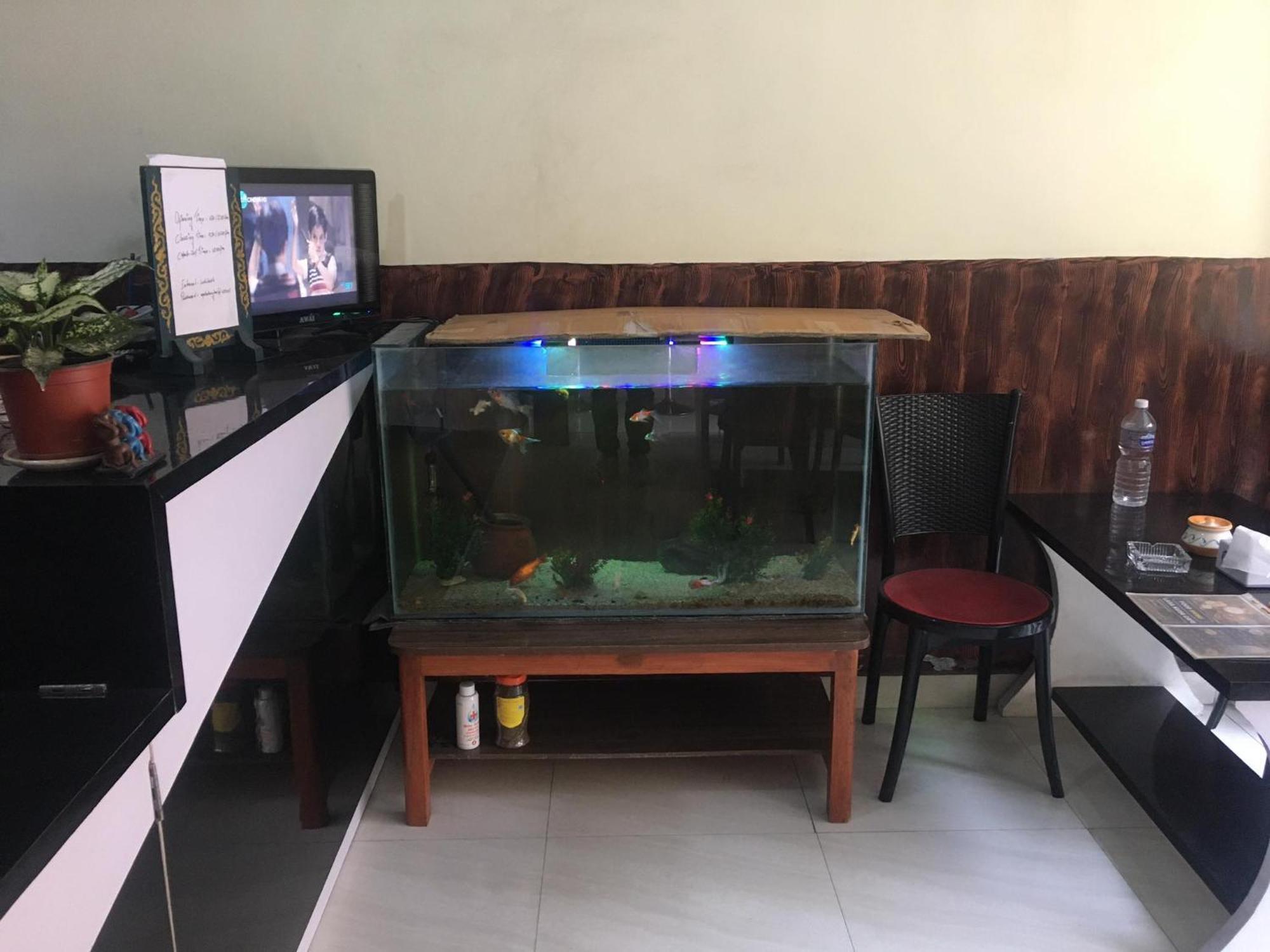Lasa Kusa Homestay Lalitpur Zewnętrze zdjęcie